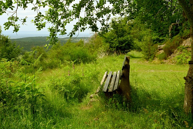 现了强大的 现了强大的
