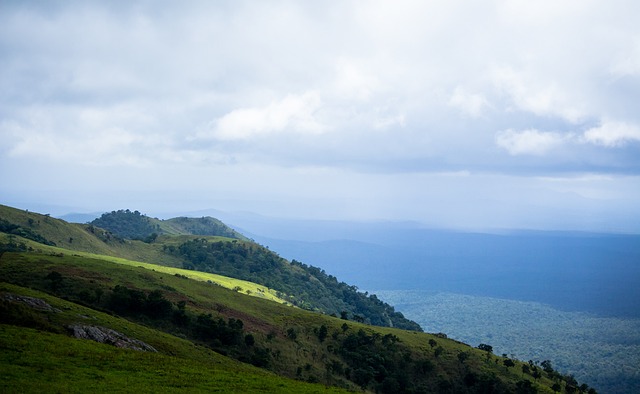 位争夺战中 位争夺战中
