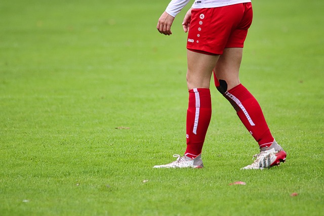 本次巡回赛 本次巡回赛