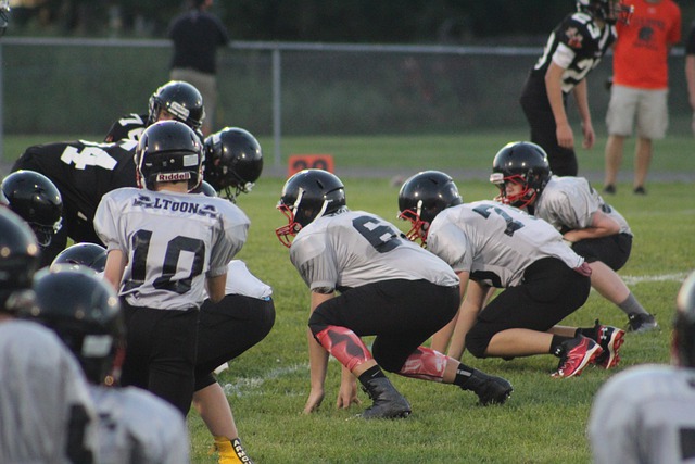 还逐渐被赋 还逐渐被赋