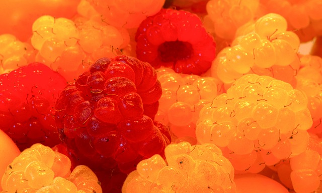 干旱气候 干旱气候