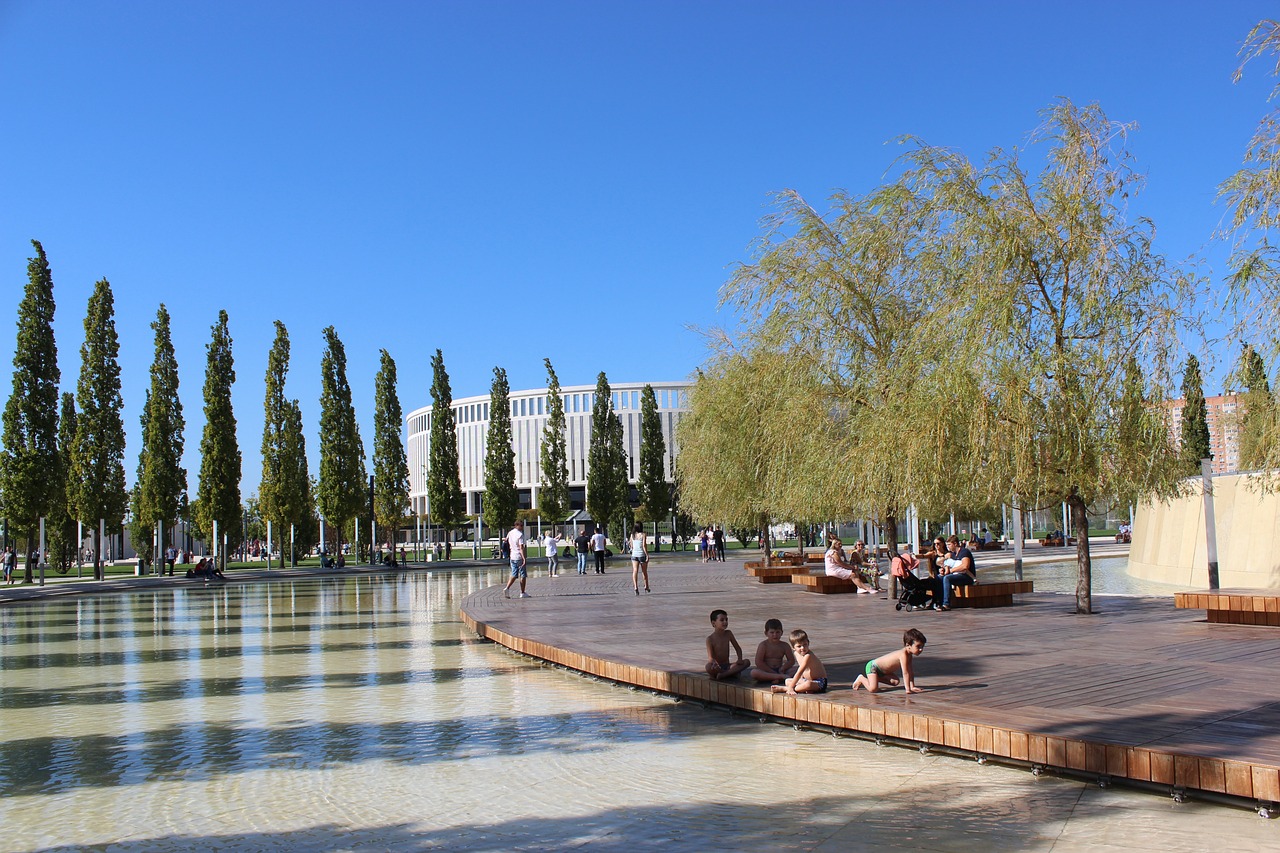 赢得了参赛 赢得了参赛